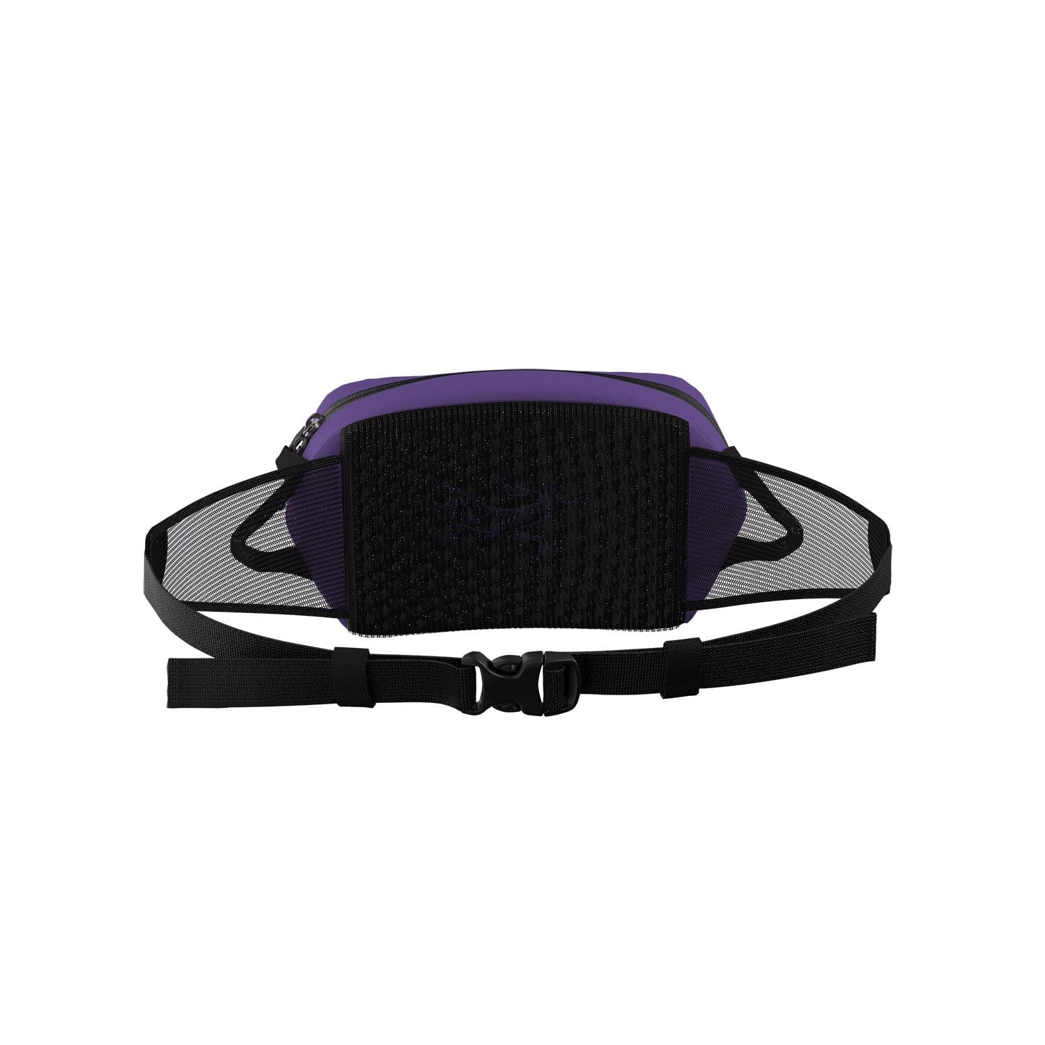 Arc'teryx Arro Waist Pack - Image 2