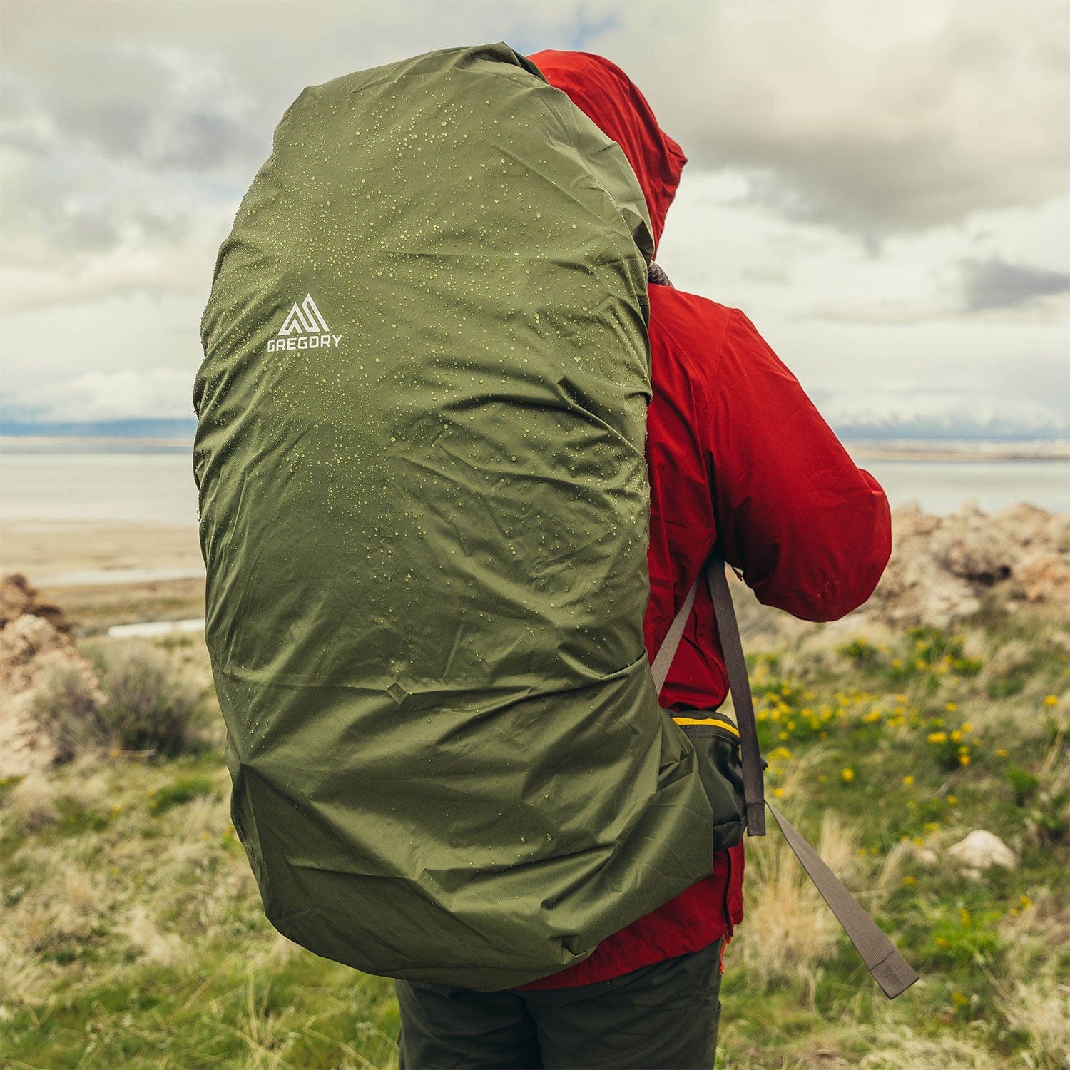 Gregory Stout 60 Backpack - Image 4