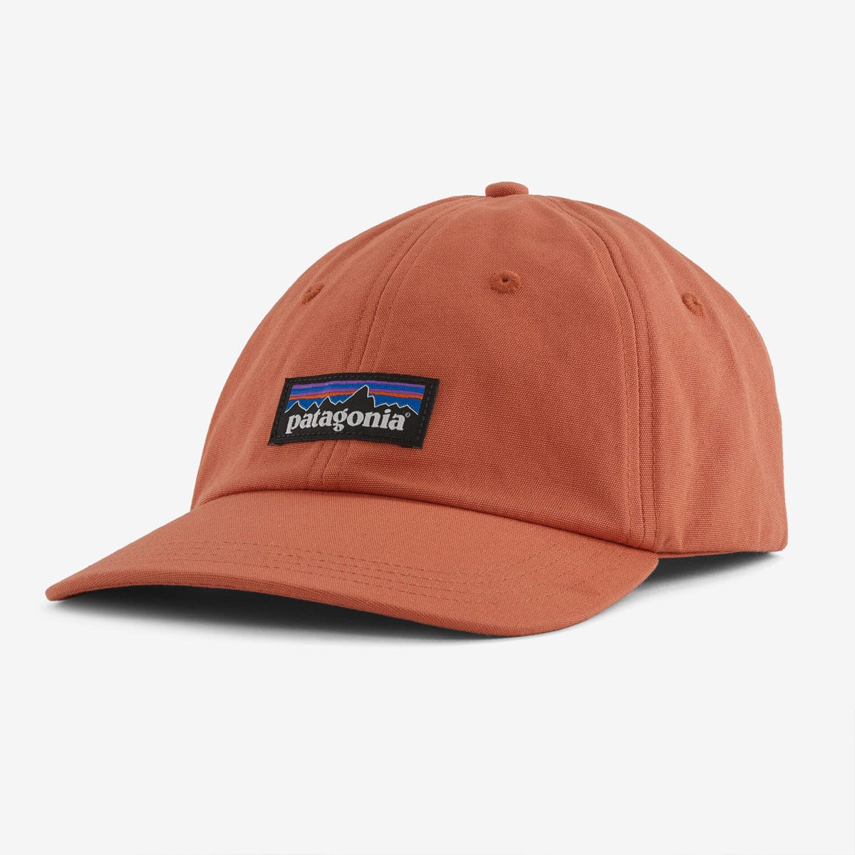 Patagonia P-6 Label Trad Cap - Image 4