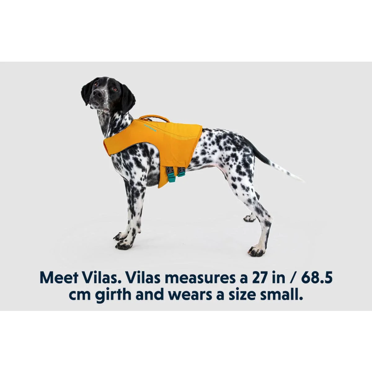 Ruffwear Float Coat Life Jacket - Image 5