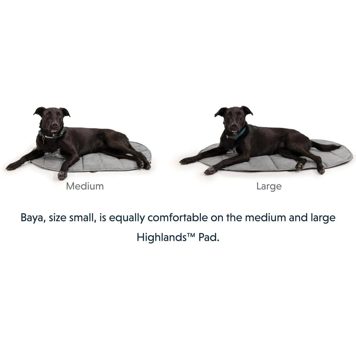 Ruffwear Highlands Pad Dog Bed - Image 4