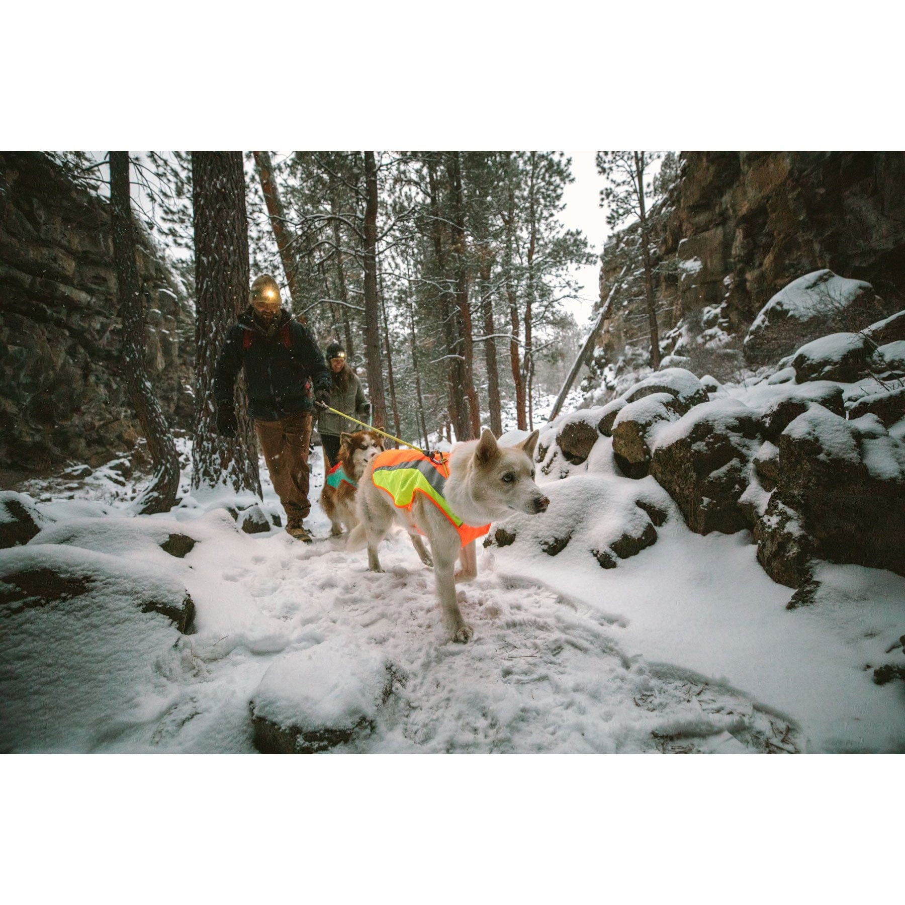 Ruffwear Lumenglow High-Vis Dog Jacket - Image 4